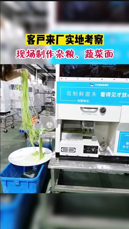客戶(hù)來(lái)廠(chǎng)考察,現(xiàn)場(chǎng)試機(jī)菠菜面,替代人工做面,8秒做成鮮面條